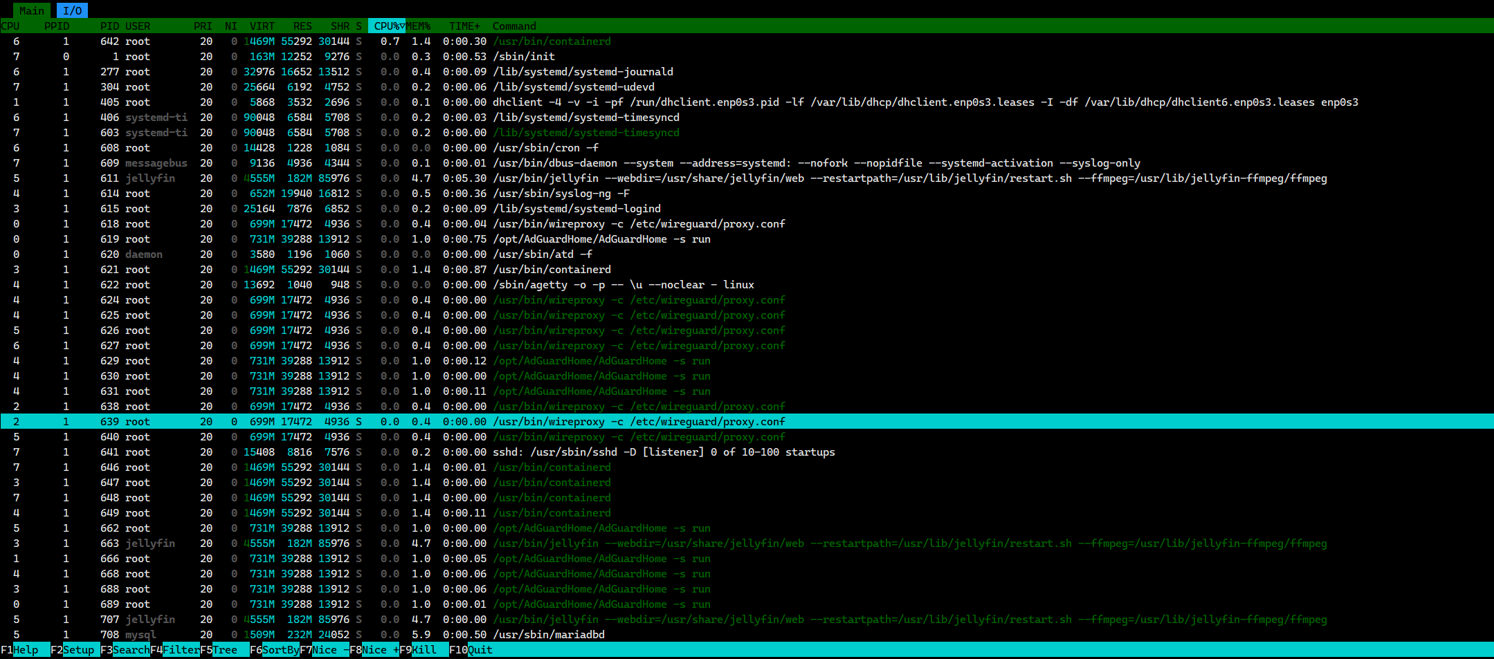 htop_process